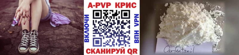 A PVP СК КРИС Волоколамск