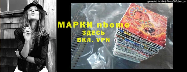 хмурый Белокуриха
