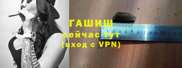 хмурый Белокуриха