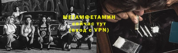 прущие грибы Беломорск