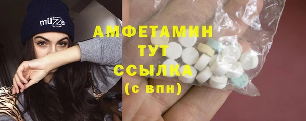 прущие грибы Беломорск