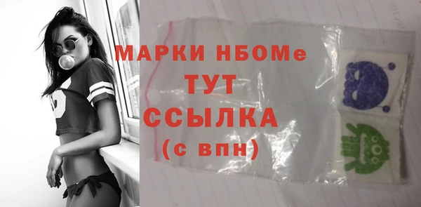 хмурый Белокуриха