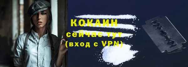 прущие грибы Беломорск