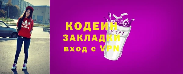 хмурый Белокуриха