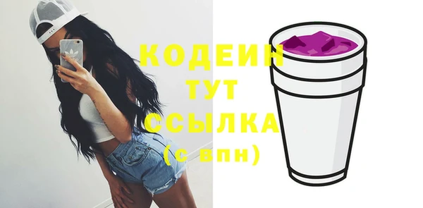хмурый Белокуриха