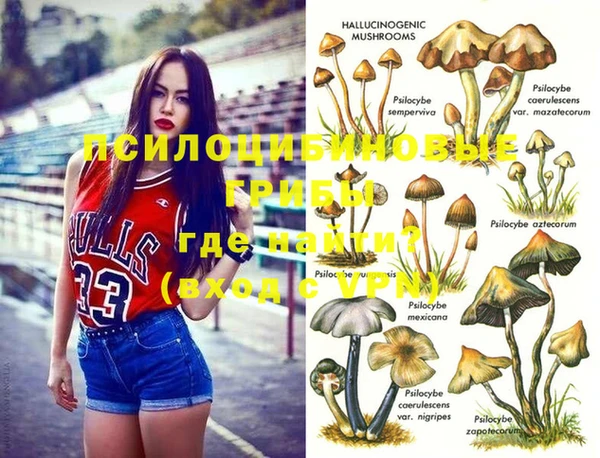 хмурый Белокуриха