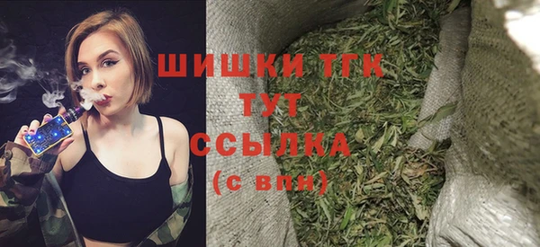 хмурый Белокуриха