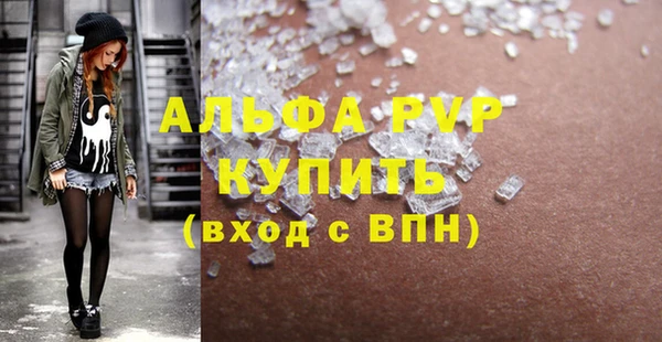 хмурый Белокуриха