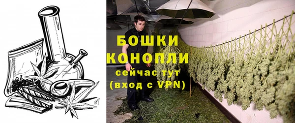хмурый Белокуриха