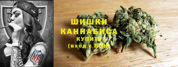 хмурый Белокуриха