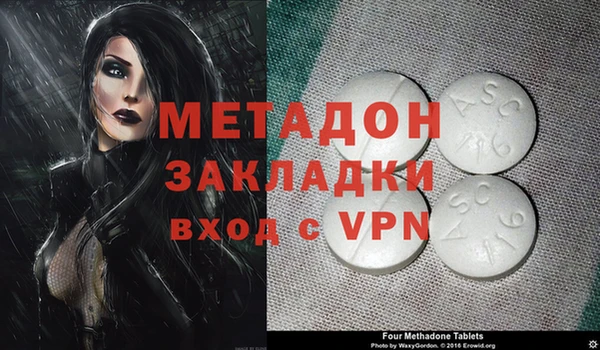 прущие грибы Беломорск