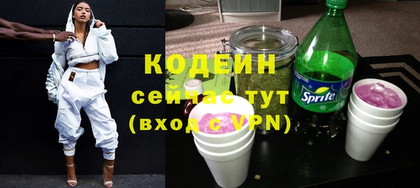 хмурый Белокуриха