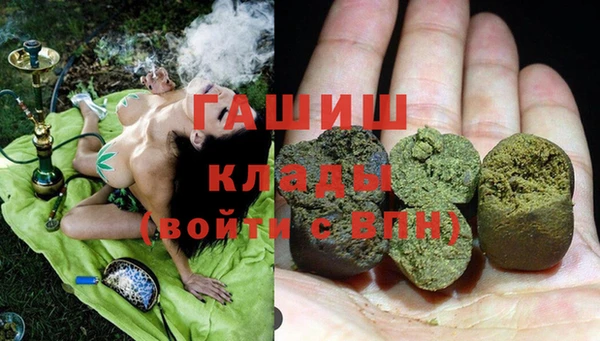хмурый Белокуриха